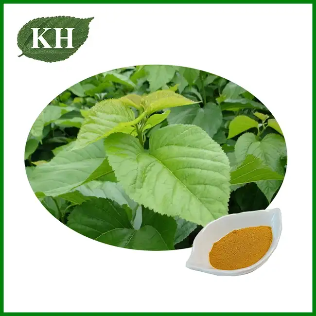 Mulberry Leaf Extract Powder — DNJ Rich Supplement
